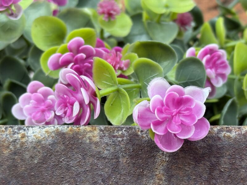 HAVE YOU CONSIDERED SHORT-TERM CARE?