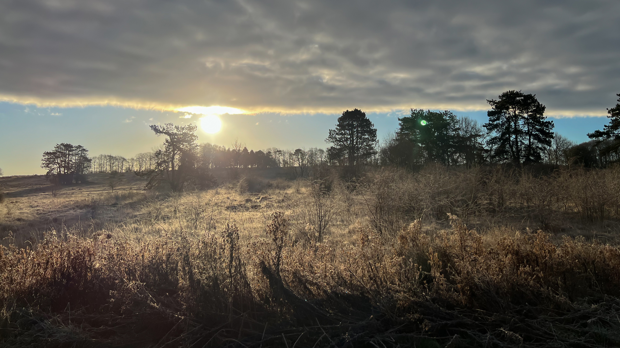 Have you considered live-in homecare?